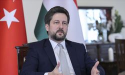 Twitter, Macaristan Büyükelçisi'ne mavi tik vermedi