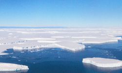 Felaket artık kapıya dayandı: Antarktika Buz Levhası için kritik noktaya geldik