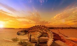 Şili'de bıçak kuyruklu bir dinozor türü keşfedildi!