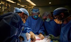 Beyin ölümü gerçekleşen hastaya genetiği değiştirilmiş domuz böbreği implant edildi