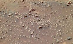 Mars'ta yeni bir oluşum keşfedildi: Çiçeğe benziyor