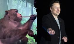 Elon Musk'ın Neuralink beyin çipi testine giren 15 maymun öldü!