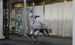 Kawasaki, sürülebilir robot keçi üretti: Peki neden keçi?