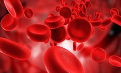 Kan grupları kalp sağlığını mı etkiliyor? Kan grubunuza göre risk faktörleri!
