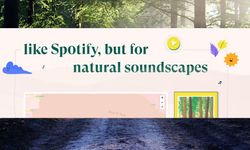 Bu site ile dünyanın dört bir yanından doğa seslerini dinleyin!