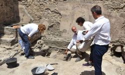 Pompeii kurbanı hamile kaplumbağa arkeologları şaşırttı!