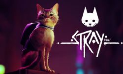 Tatlış bir kediyi oynadığımız Stray oyununun çıkış tarihi açıklandı