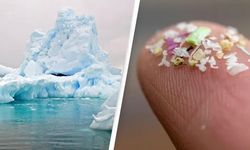 Antarktika karlarında mikroplastiğe rastlandı!