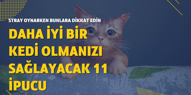Son günlerin sevilen oyunu Stray ile ilgili 11 harika ipucu