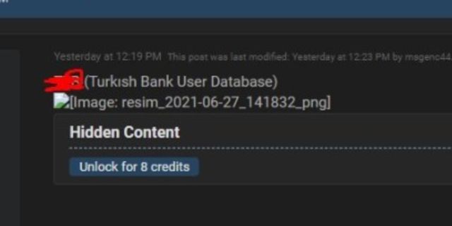 Bir Türk bankasına ait veriler internette satışa çıkarıldı!