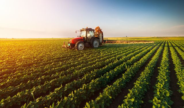 Tarım ürünlerini yüzde 20 verimli hale getirmek için genetiklerini değiştirdiler!