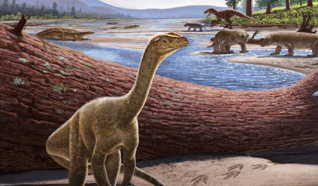 Afrika'nın bilinen en yaşlı dinozoru: Mbiresaurus raathi