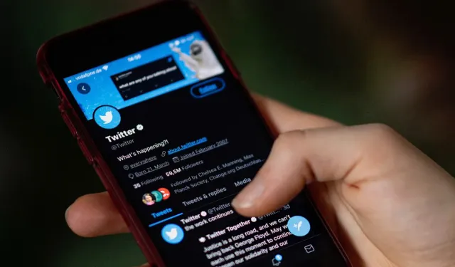 Twitter'da yeni kullanıcı kayıtları tavan yaptı! Tüm zamanların en yüksek seviyesi