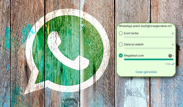 WhatsApp gruplarındaki tartışmaları azaltacak anket özelliği geldi!