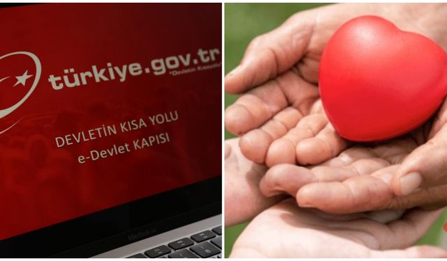 e-Devlet üzerinden güvenli bağış hizmeti başladı: Depremzedelere destek olun