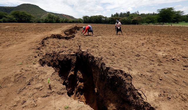 Afrika bölünmeye başlıyor: Ortasından yeni bir okyanus geçecek