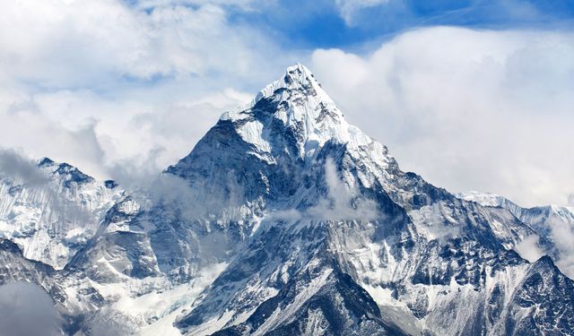 Araştırmacılar, Everest Dağı'nda yaşayan kedi türleri keşfetti