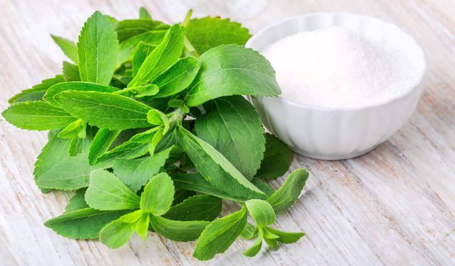 Şeker kadar tatlı olan çevre dostu tatlandırıcı: Stevia