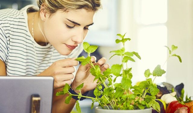 Aldığınız kokular, yaşınızı ve metabolizmanızı etkiliyor olabilir