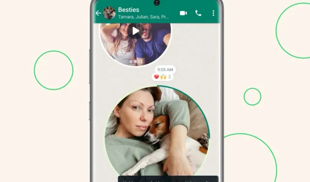 WhatsApp, yeni özelliği ile kafaları karıştırdı