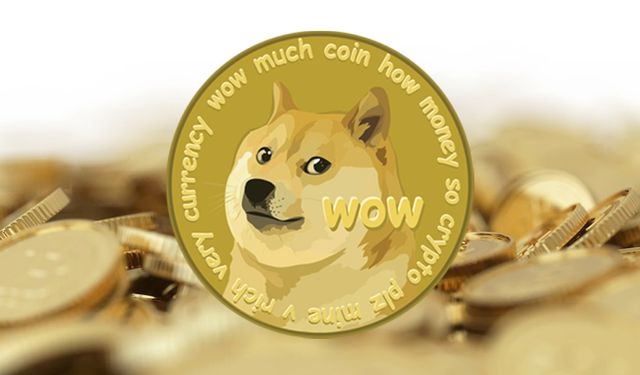 Dogecoin nedir, nereden alınır?