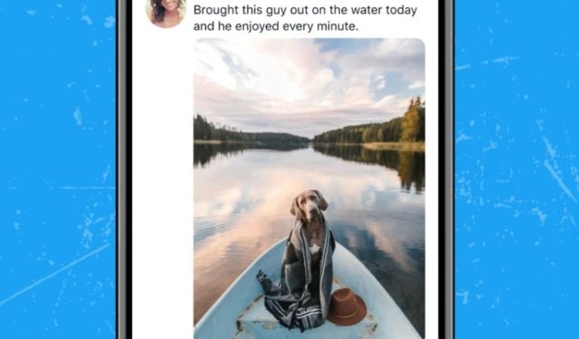 Twitter iki yeni özelliği test ediyor! 4K görüntüler geliyor...