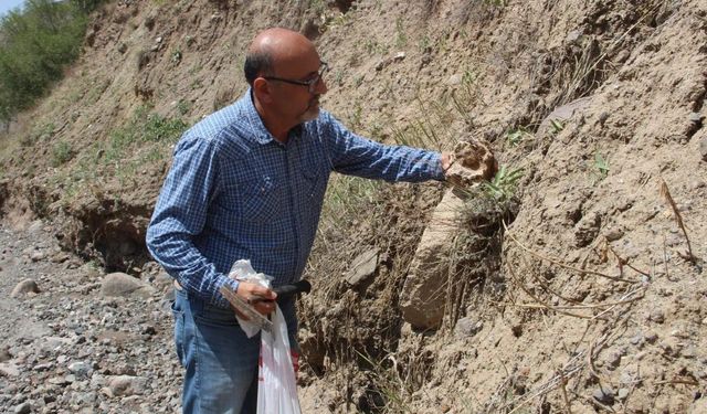 Erzurum'da bulundu! Tam 160 milyon yıllık...