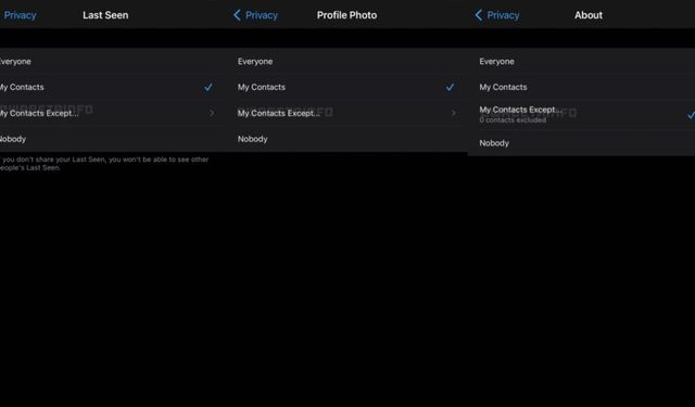 WhatsApp'a yeni gizlilik ayarları: Artık sadece izin verdiğiniz kişiler görebilecek