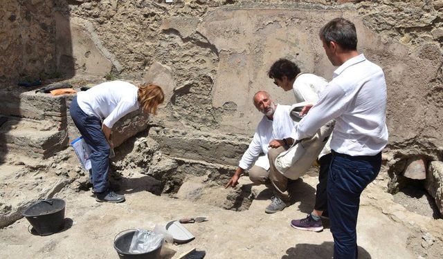 Pompeii kurbanı hamile kaplumbağa arkeologları şaşırttı!