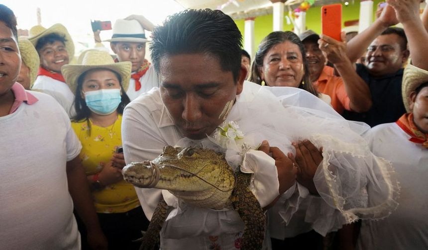 Meksika'da bir belediye başkanı timsah ile evlendi!