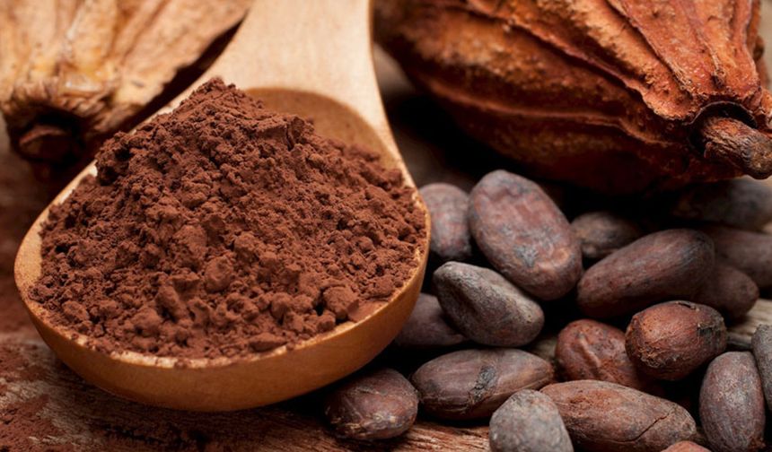 Kakaoyu ilk olarak hangi toplum kullandı? İnsan kurban ederken sıcak çikolata içiyorlardı