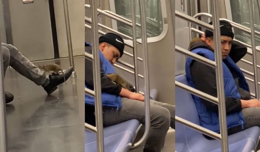 Metroda uyurken üstüne fare tırmanan adam viral oldu: Çok soğuk kanlı çok profesyonel - VİDEO