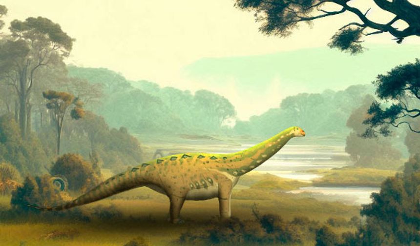 Mısır'da 75 milyon yıllık bir dinozor fosili keşfedildi!