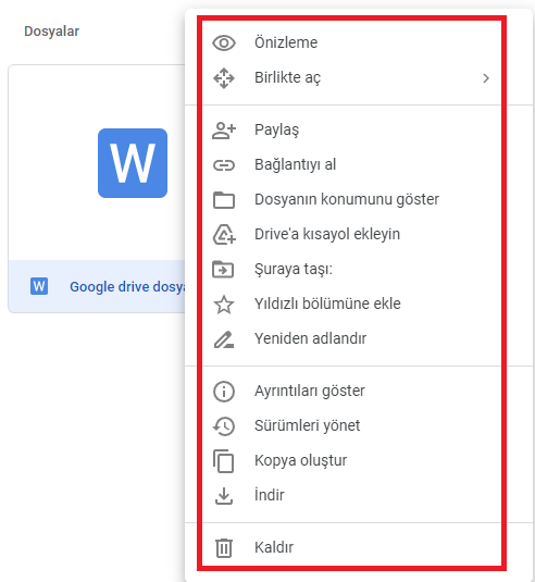 Google Drive ile bir dosya üzerinde hangi işlemler yapılabilir?