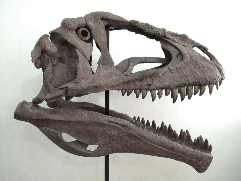 t-rex kolları dinazor keşfi (1)
