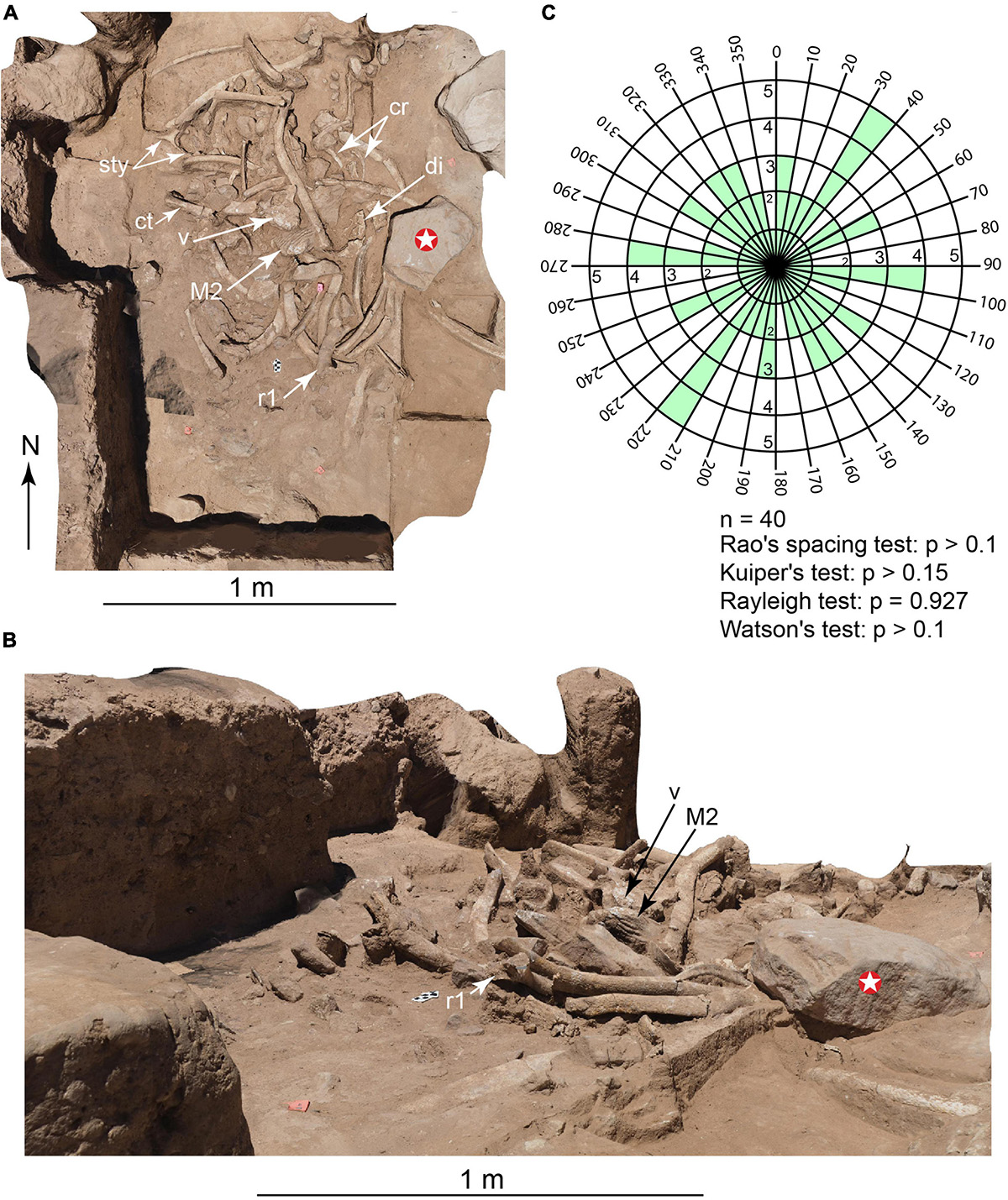 amerikada 37000 yıllık kemikler keşfedildi (1)