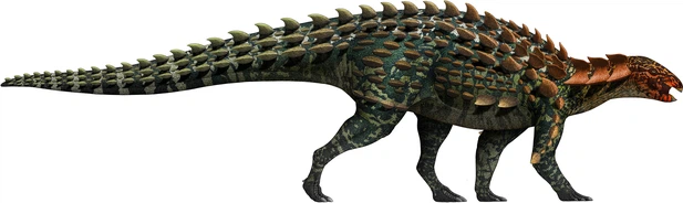 dinozor iskeleti (1)