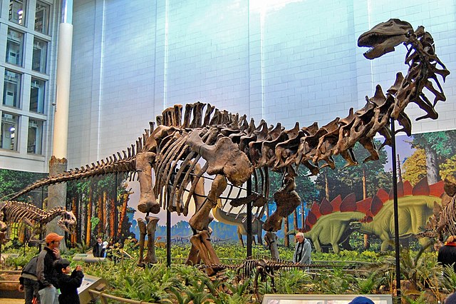 uzun boylu dinozor (3)