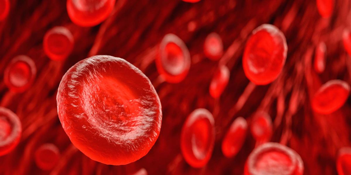 akıllı kırmızı kan hücreleri antibiyotik (1)